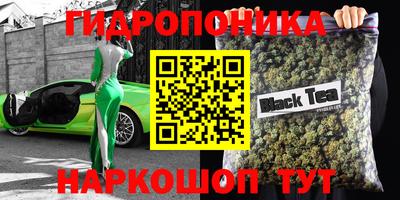 экстази Кингисепп